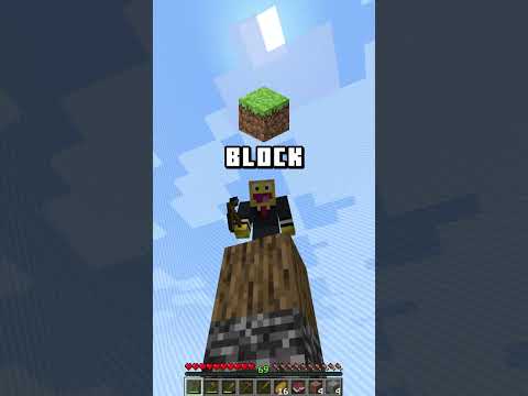 Minecraft Oneblock SMP Server (Free to join) for Java & Bedrock!