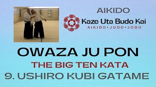 9. Ushiro Kube Gatame