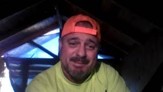 Socialización del Perro