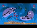 Shark Bus And The Giant Clam Effects