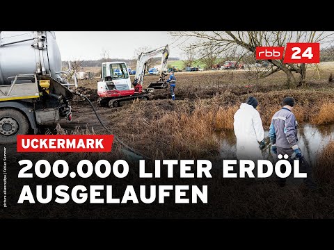 Öl-Leck nach Pipeline-Havarie in der Uckermark | rbb24 spezial