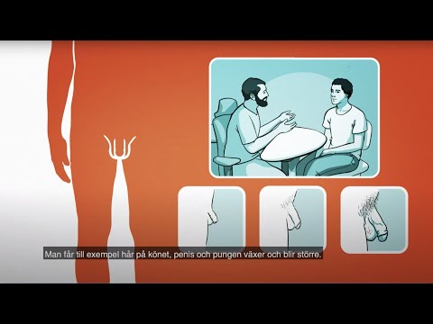 Male genitals | RFSU informerar om penis pung / mannens kön på engelska
