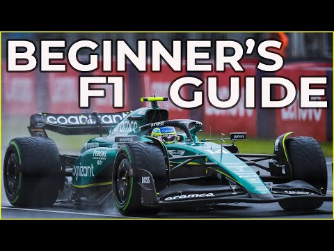 A Beginner's Guide to Formula 1 Rules: Your First Race Explained