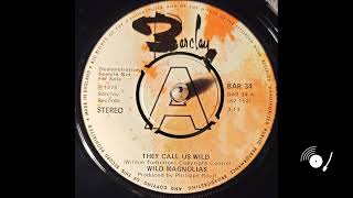 Wild Magnolias -  They Call us WIld