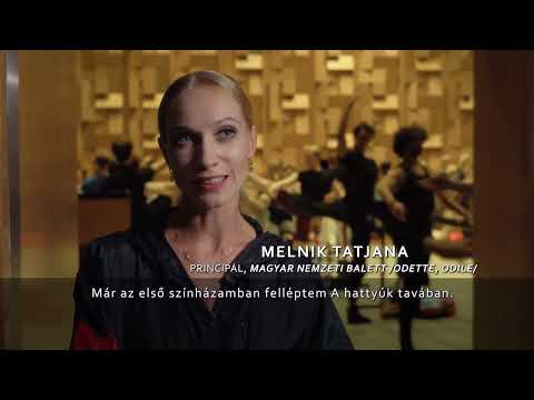 OperaCafé 20230924 - Dubaj riportfilm 1. rész