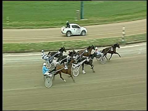 Trotto 24/02/2017 - 1ª corsa