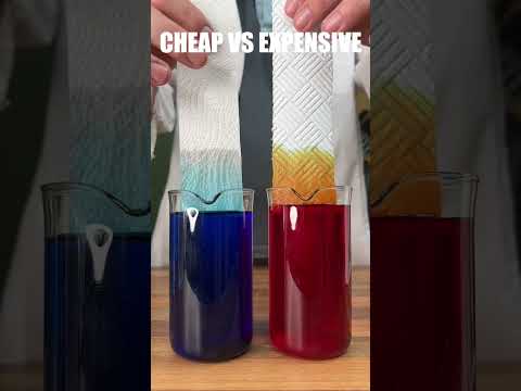 I tested cheap vs expensive paper towels!