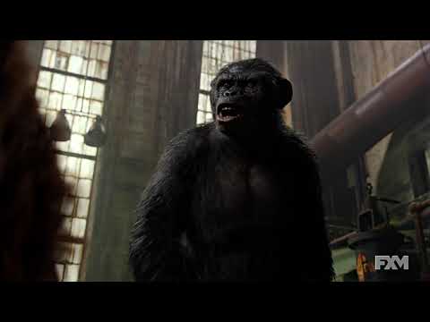 Sizar القرد الدي الرعبة العالم