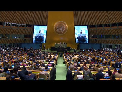 N. Y. P. D. & Security Measures Being Implemented For the U. N.