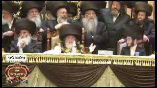 11. חתונת הרב חיים מאיר הגר שליט"א בהגה"צ הרב שליט"א מאלעד