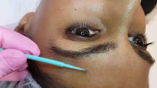 Asian Eyebrows Density Microblading by El Truchan @ Perfect Definition