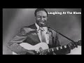 Jimmy Reed-Laughing At The Blues