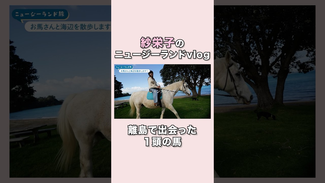 【vlog】海外で1番好きな街に出会った🩷【ニュージーランド】#紗栄子#海外vlog#ニュージーランド