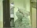 Sesame Street Episode 2615 Street Scenes 1 2