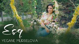Yegane Mürselova  Esq