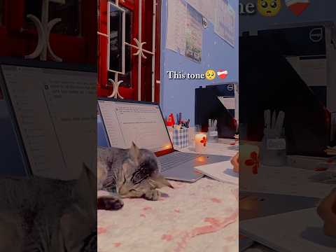 ඒකනම් පිස්සුවක්❤️😽#viralvideo #minivlog #productivevibes #music #relaxing #viralvideo