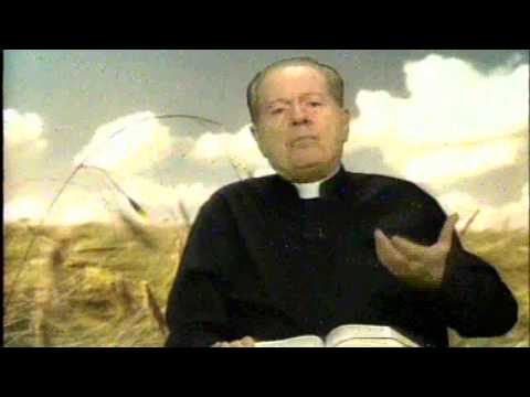 O Pão Nosso 16 Novembro 2014 -  Pe.F.C.Cardoso.