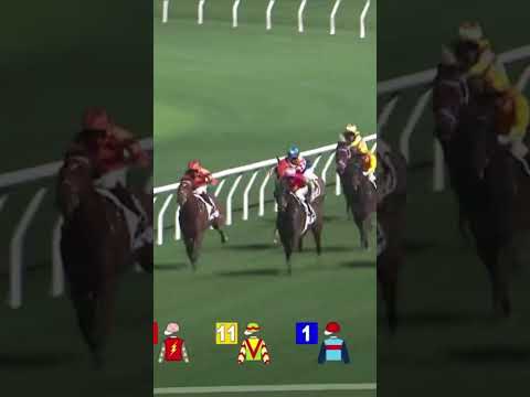 LUCKY EIGHT K Teetan #shorts @racingshorts272