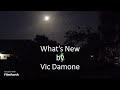 Vic Damone - What’s New