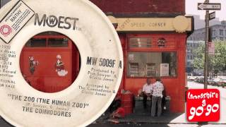 COMMODORES - HUMAN ZOO