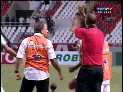 Botafogo 1x1 Vitoria gol de Pedro Ken 09 05 2012