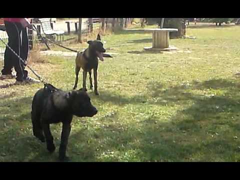 Jergan Débourage suite...