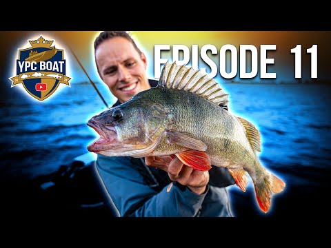 TOO MANY bass – anglers have to FLEE! | YPC Boat 2025 Episode 11