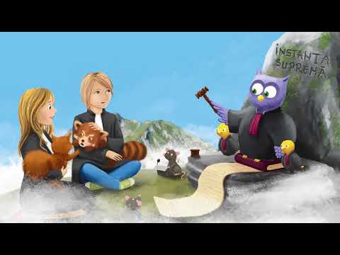 Ce este Constitutia?