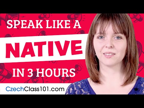 Czech Skills for the Real-World: Spoken Czech Practice in 1 Hour