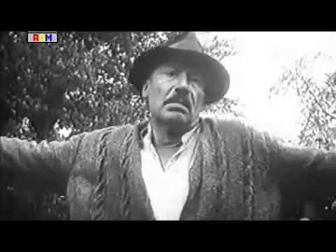 N-am ... taxe si impozite