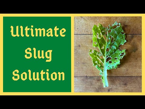 , title : 'Worlds Greatest Organic Slug Control Solution - Effective Also For Aphids and Cabbage Worms And More'