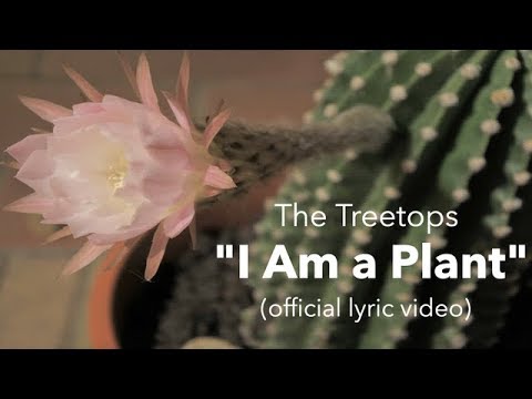 The Treetops - I Am a Plant (OFFICIAL LYRIC VIDEO)