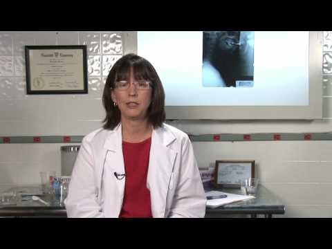 Family Health : Treating Black Widow Bites