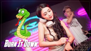 有蛇跑出來的歌 Burn It Down ✘ 剛好遇見你 (慢摇EDM) DJ T.S.H Nonstop Remix | King DJ Release
