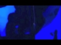 Video Porno De Gloria Trevi Y Armando En Alberca De Acapulco 39