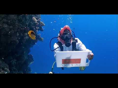 Dupini - LAUNCHING IN 2020