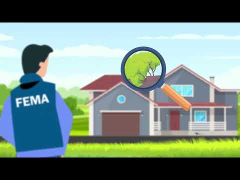 Next Steps After Applying for FEMA Assistance