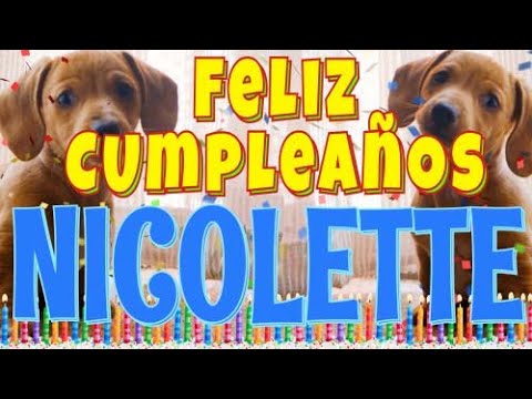 ¡Feliz Cumpleaños Nicolette! (Perros hablando gracioso) ¡Muchas Felicidades Nicolette!
