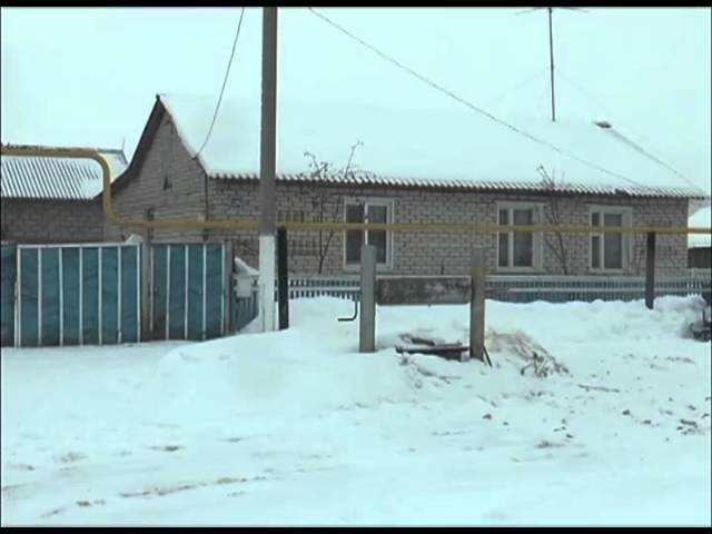 Больше скотины – реальнее доход