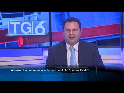 TgSei edizione delle 14 di martedì 11 giugno 2019