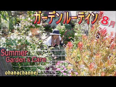 旧暦: 2022 年 8 月の月を使ってガーデニングをするには?  庭園