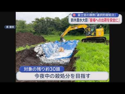 YouTube Video 豚熱で全国初「選択的殺処分」　１０３７頭を殺処分も感染リスクの低い繁殖用１３０頭は対象外　農水大臣「防疫措置の現場負担も少なくなる」　静岡・富士宮市の養豚場　