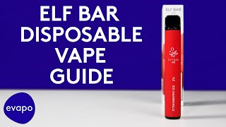Elf Bar 600 Disposable Vape Guide
