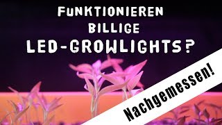 Taugen billige Wachstums LEDs/Growlights - Spektrum nachgemessen + Growbox