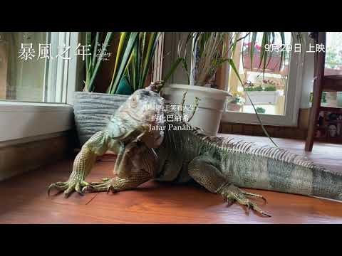 《暴風之年》預告片：官方預告