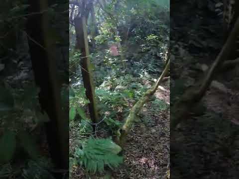 Descendiendo a la Cascada de Las Bandurrias