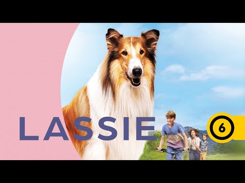 Lassie - Állati mentőakció trailer