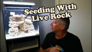 My First Saltwater Aquarium Ep. 03 | Seeding with LIVE ROCK | Ft. Hygger Elite Titanium Heater.