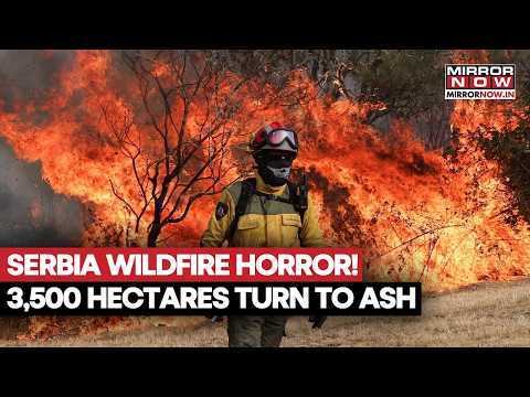 Serbia Wildfires Rage Across 3500 Hectares Of Protected Land ...