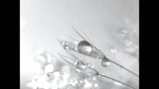 Edit Select - Phlox (Original Mix)